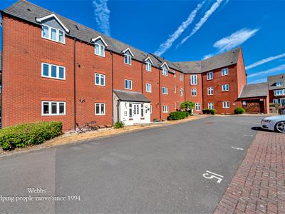 Picture 20
